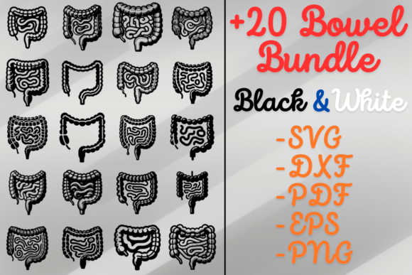 A Designer's Practical Review of the Bowel SVG Bundle